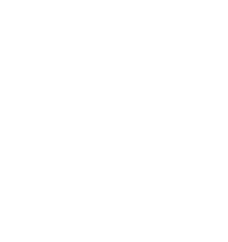 AusterWeb Logo